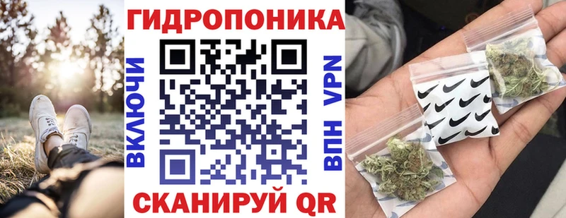 Конопля план  Купить закладки  Качканар 